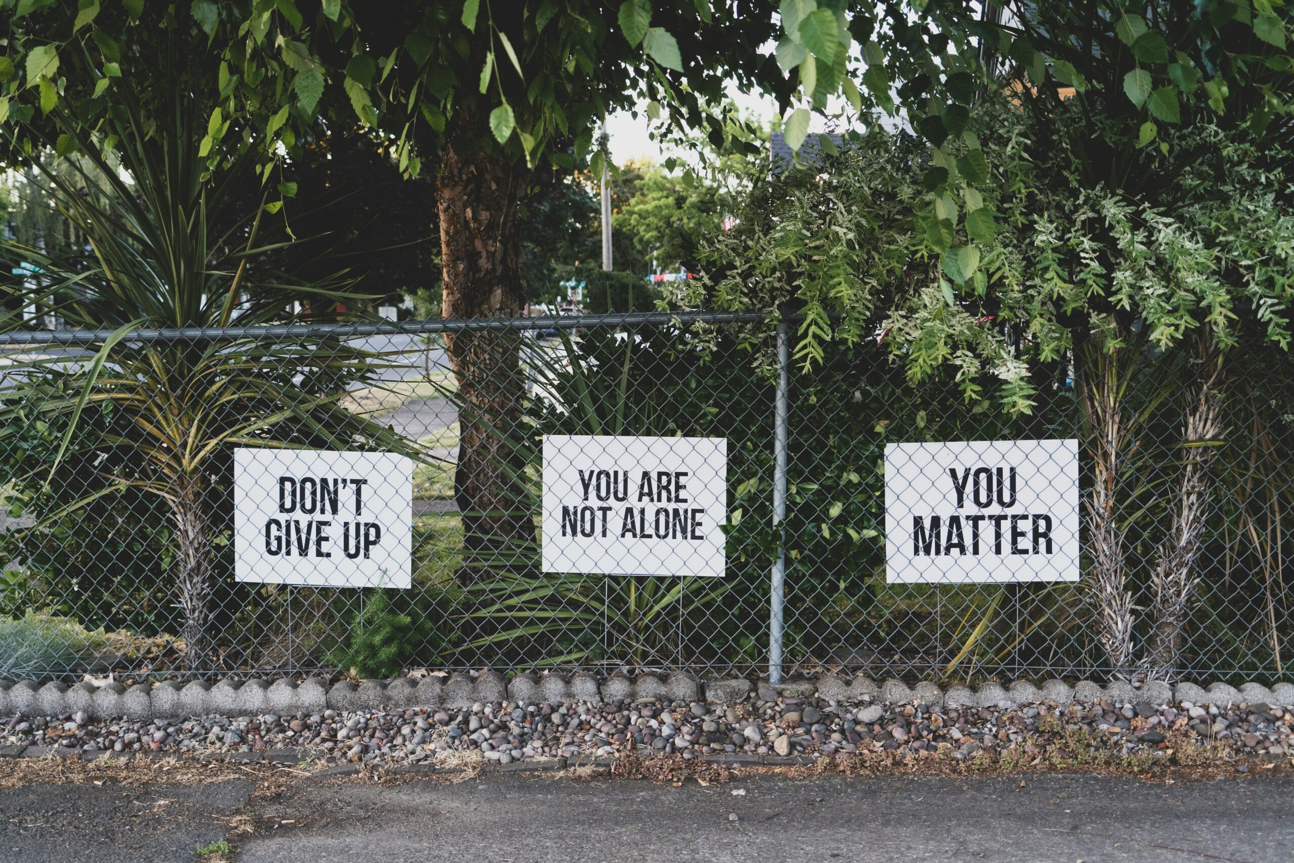 Photo by <a href="https://unsplash.com/@dmey503" rel="nofollow">Dan Meyers</a> on <a href="https://unsplash.com/?utm_source=hostinger&utm_medium=referral" rel="nofollow">Unsplash</a> 